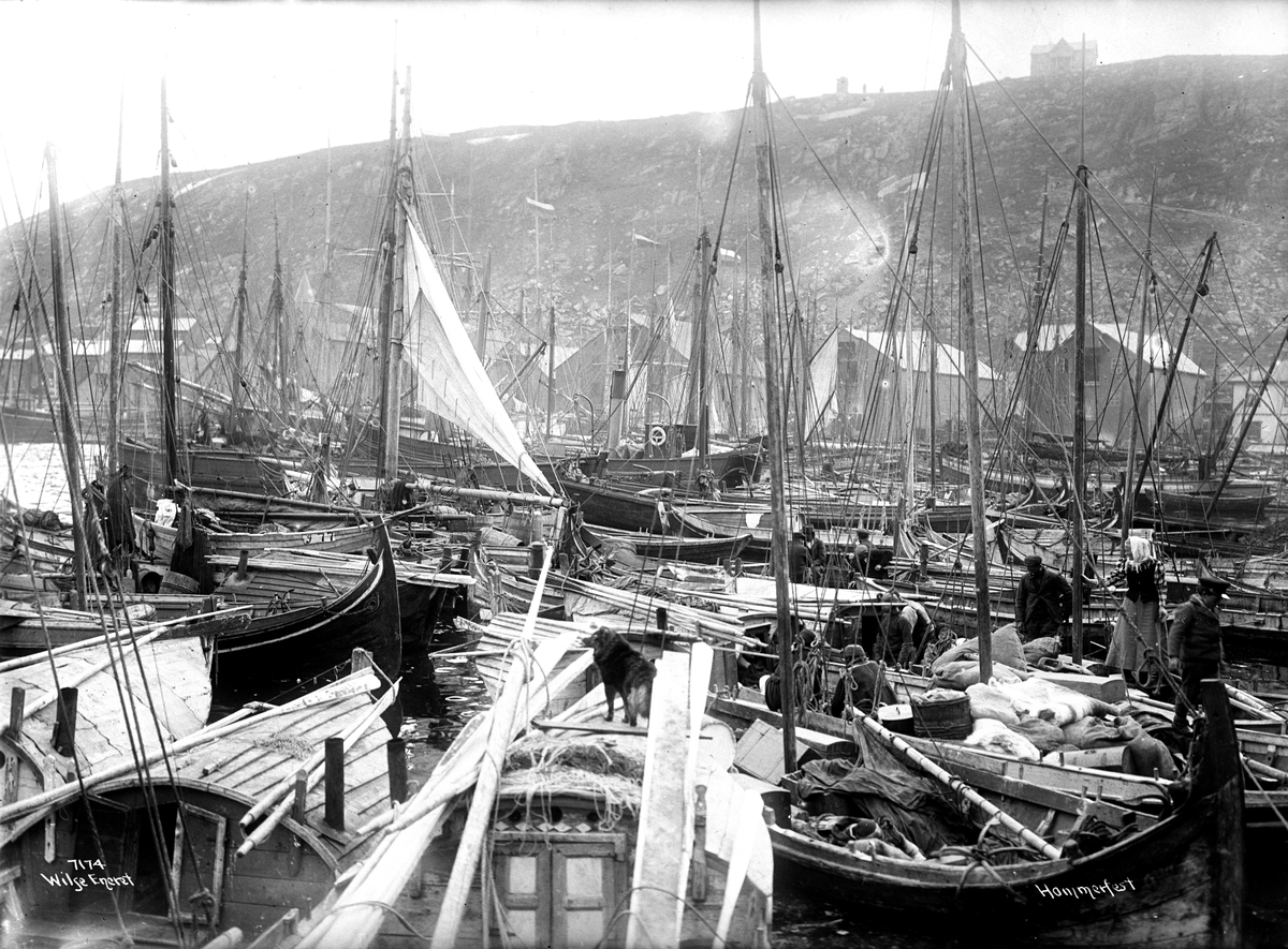 Fiskebåtene ligger tett i tett i havna i Hammerfest. Fotografert i 1907.
