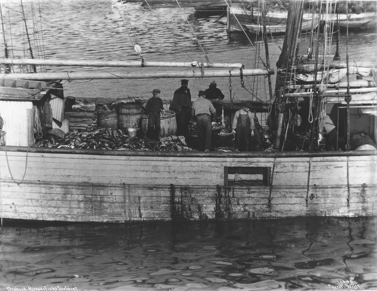 Fisken sendes til russerskonnerten. Fotografert i 1909.