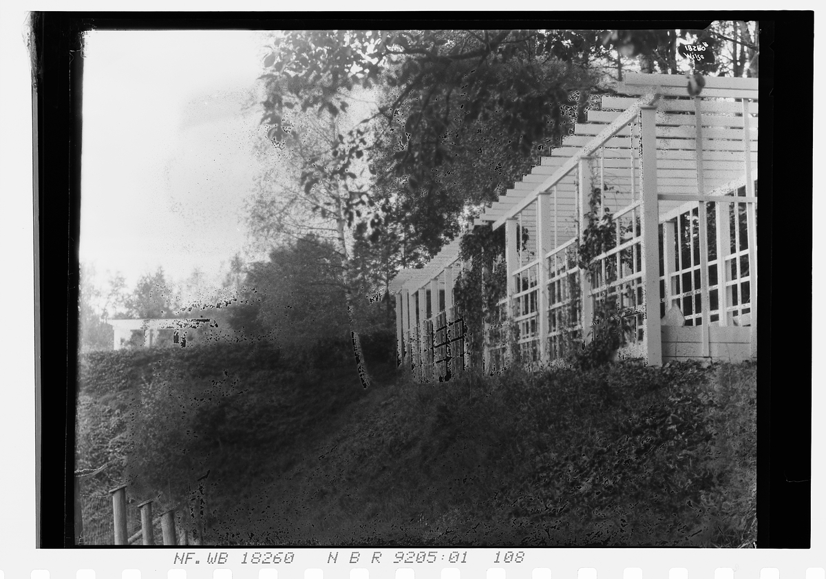 Del av kulebane, Ekeberg gård. Fotografert 1924.
