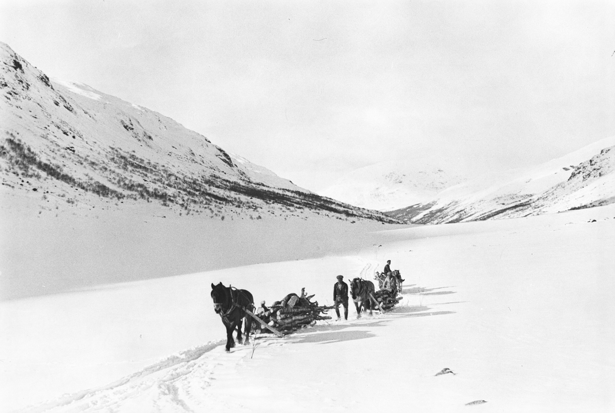 To karer med hver sin hest og slede frakter ved innover dalen.  Vinterlandskap med fjell og dype daler.