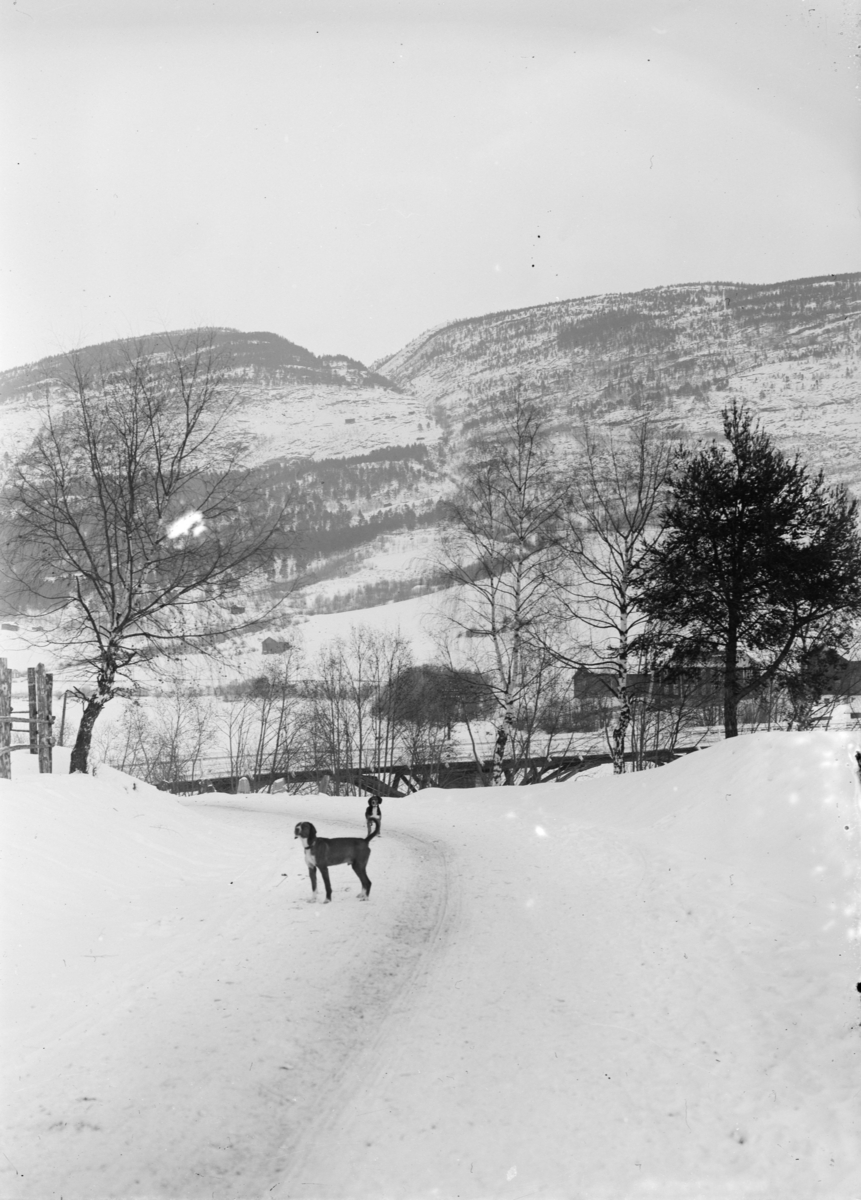 Vinterbilde. Utsikt mot Byrebrua, Vinstra, med en hund i forgrunnen
