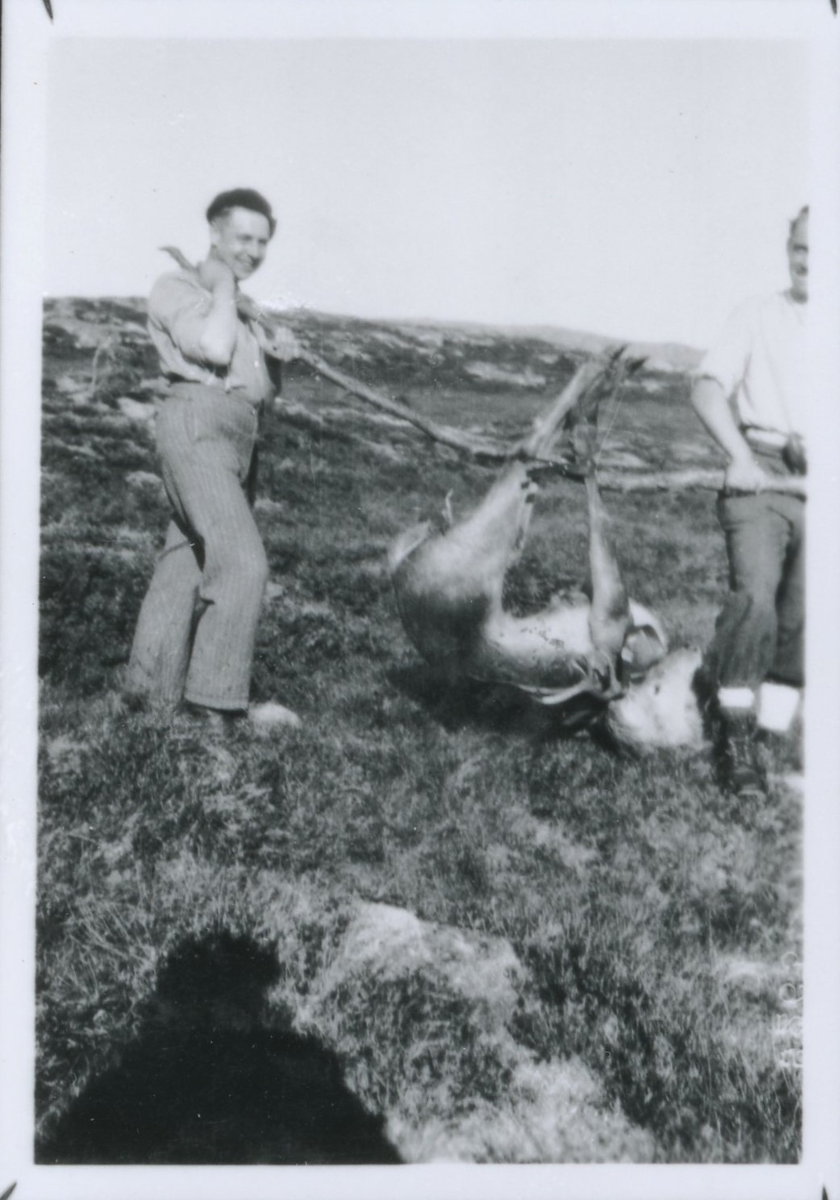Ingvar Klingenberg II (V) og Rasmus Brodtkorb(H) bærer en hjort hjem fra jakt