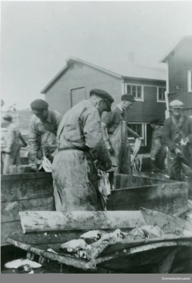 Fiskesløying på Bugøynes, sannsynligvis fra 1930 årene. Individene er ukjent. 