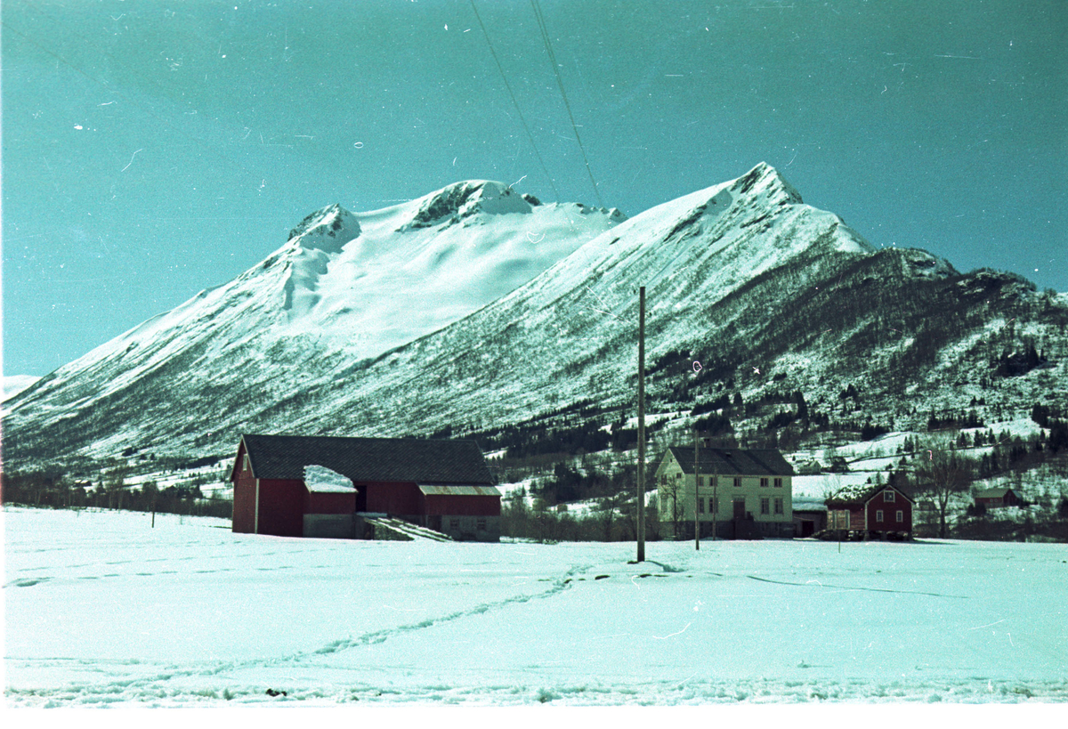 Agfacolor film. Kvistad, Hjørundfjordfjord s. og p. Gravning.