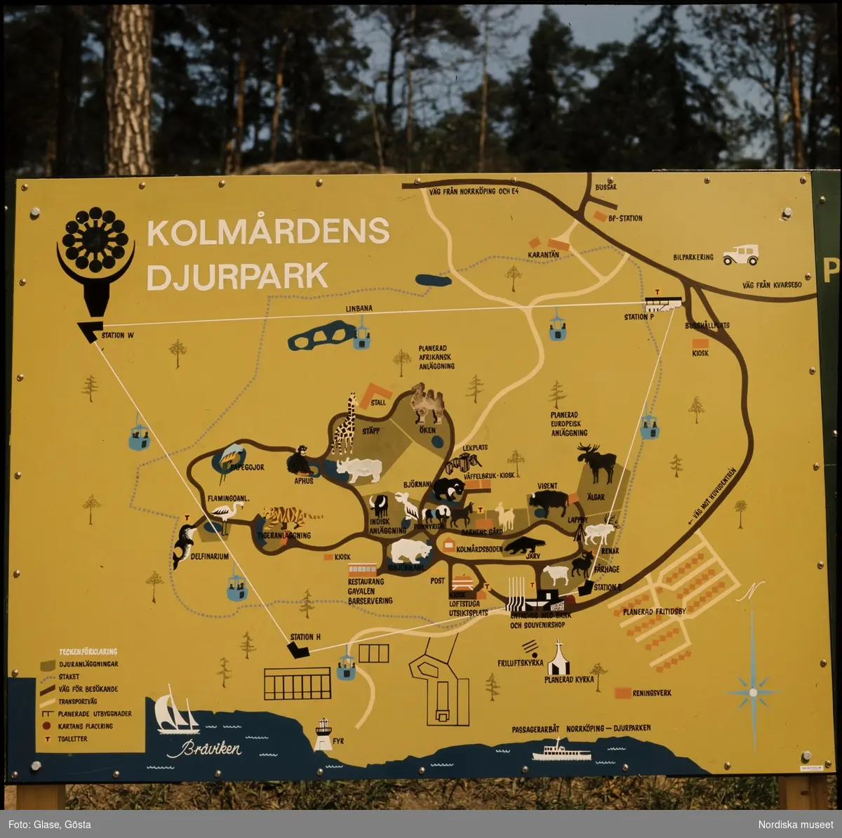 Karta över Kolmårdens djurpark. Nordiska museet / DigitaltMuseum