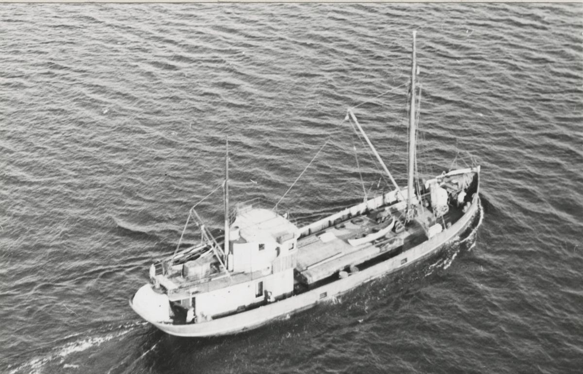 M/S 'Ekar' (Ex. Alwine, seilfartøy Pauline)(b.1915, Gebroers Boot, Leiderdorp, Nederland)