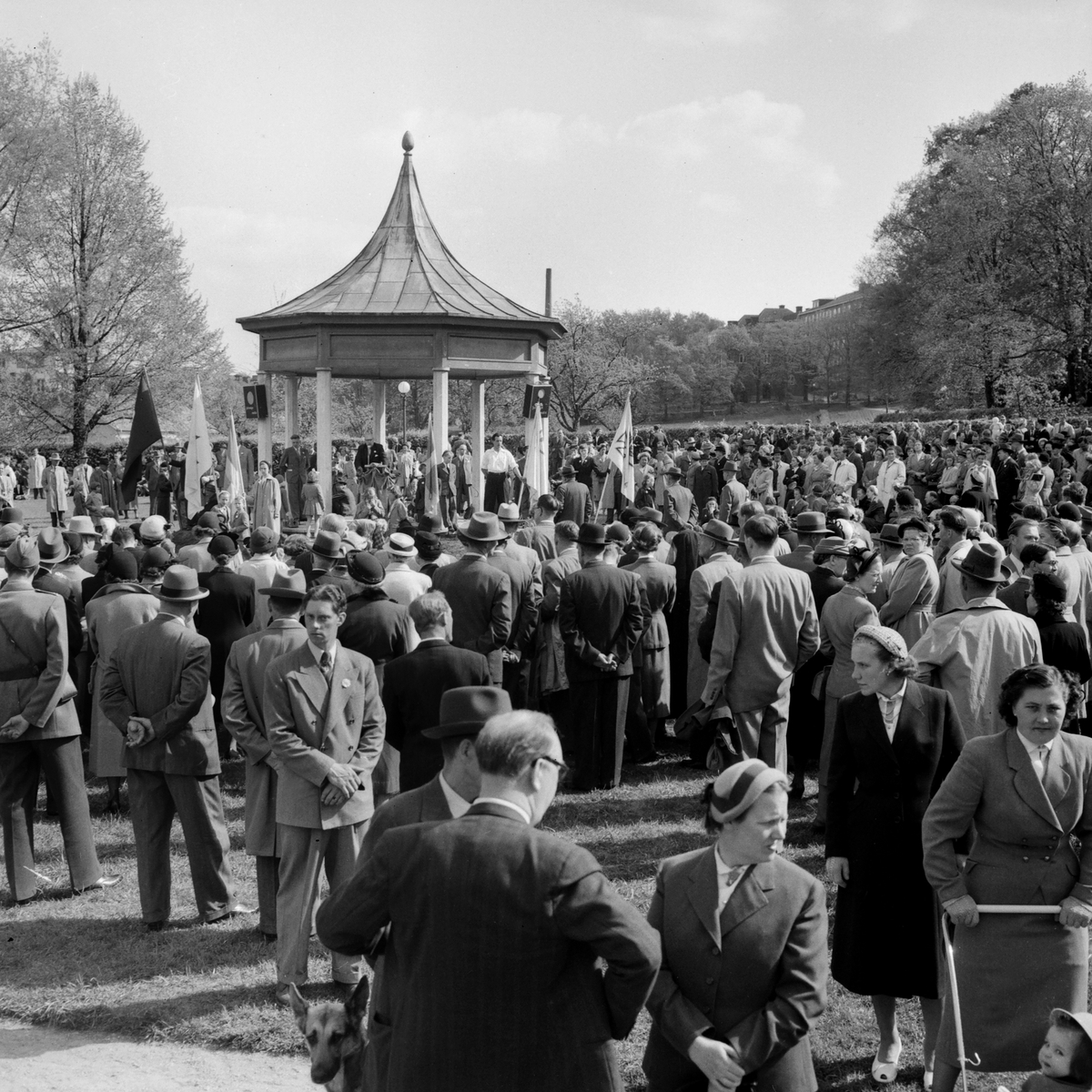 Från Folknykterhetens dag i Linköpings Trädgårdsförening 1953.
