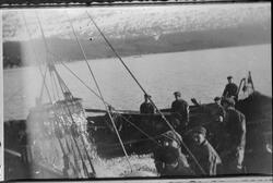 M/S "Svanen" fra Grovfjord håver ombord sild fra snurpenot. 