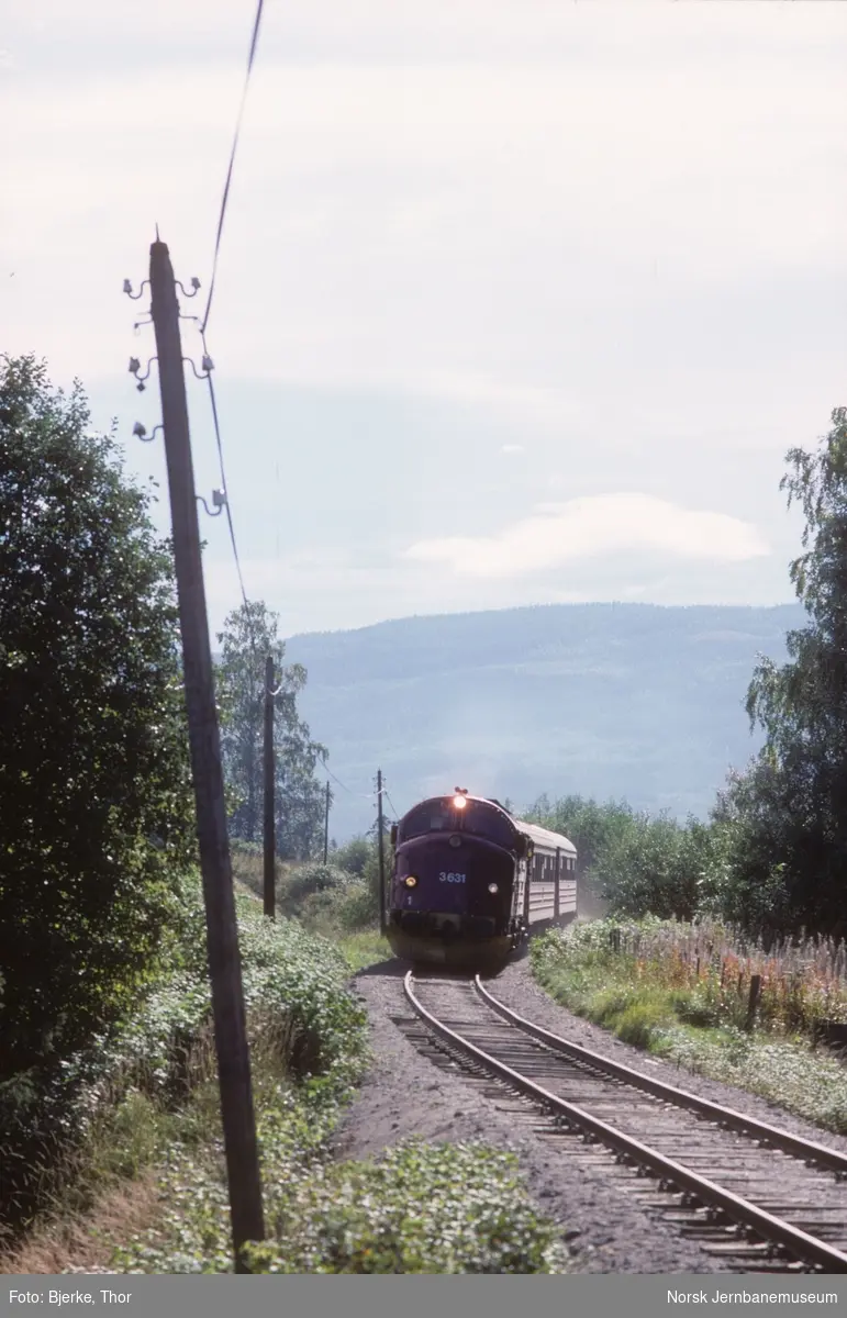 Diesellokomotiv Di 3 631 med tog 281 til Fagernes mellom Odnes og Dokka