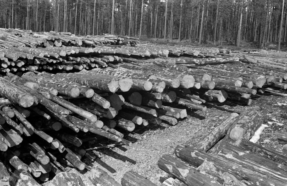 Strøvelter med grovt cellulosevirke i strandsona ved Storsjøen i Rendalen. Dette var med andre ord tømmer som, til tross for at en del av stokkene hadde forholdsvis grove dimensjoner, ikke var godt nok for sagbruksindustrien. I stedet ble det solgt til treforedlingsindustrien, som produserte tremasse, cellulose, papir eller kartong, som gav mindre utbytte til skogeierne. Tømmeret var lagt parallelt i floer - lag - med et par mellomliggende strøstokker vinkelrett på floene. På denne måten ble tømmeret luftig lagret fram mot fløtingssesongen. Tørkinga reduserte fuktighetsprosenten i veden, og det innebar at faren for at stokkene skulle bli «søkketømmer» på sin veg nedover fløtingsvassdraget.