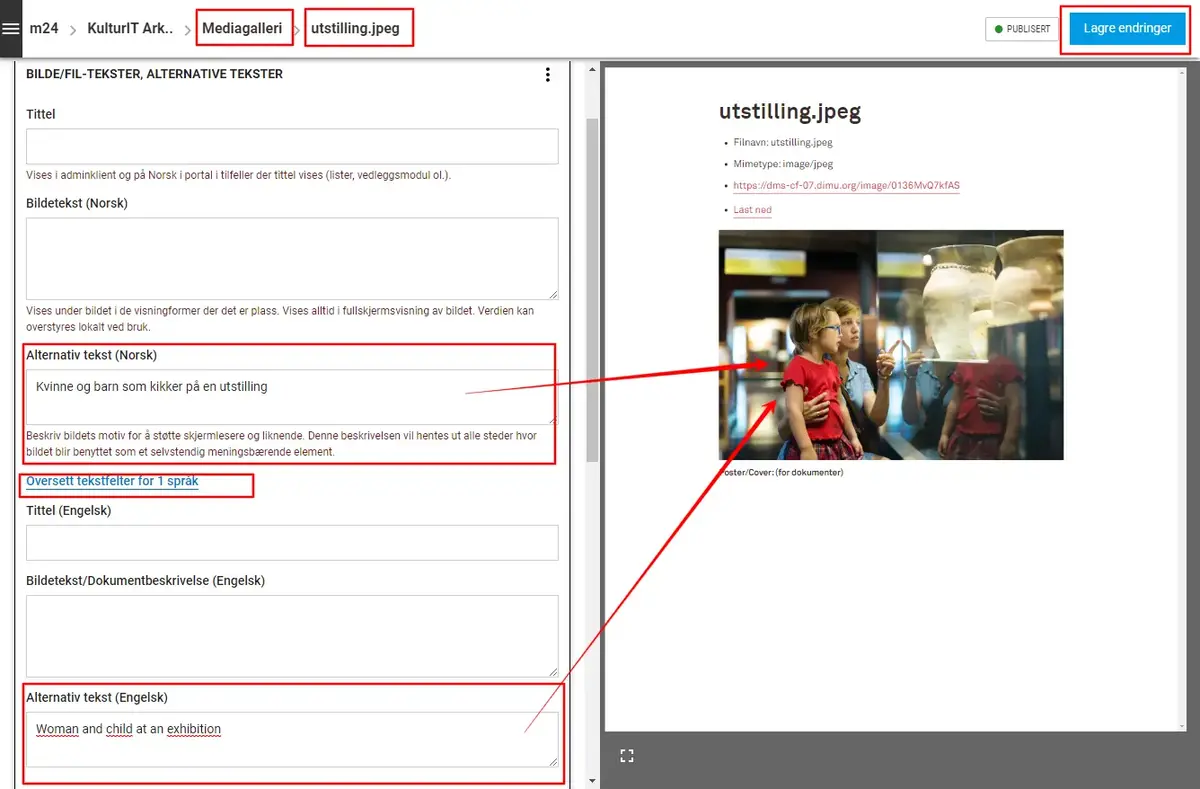 Skjermbilde som viser hvor man legger inn alternativ tekst på bilder