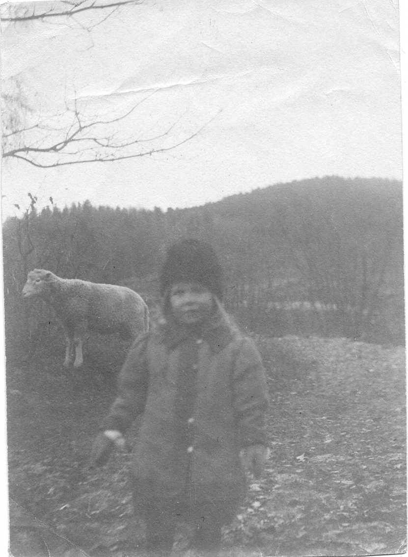 En liten flicka med mössa, jacka och tumvantar står på en äng framför ett får.