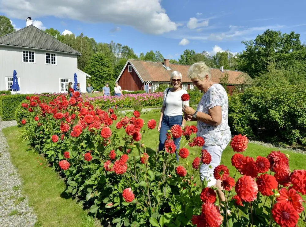 Hovedgården og hagen i dag. Foto: Vestfoldmuseene.