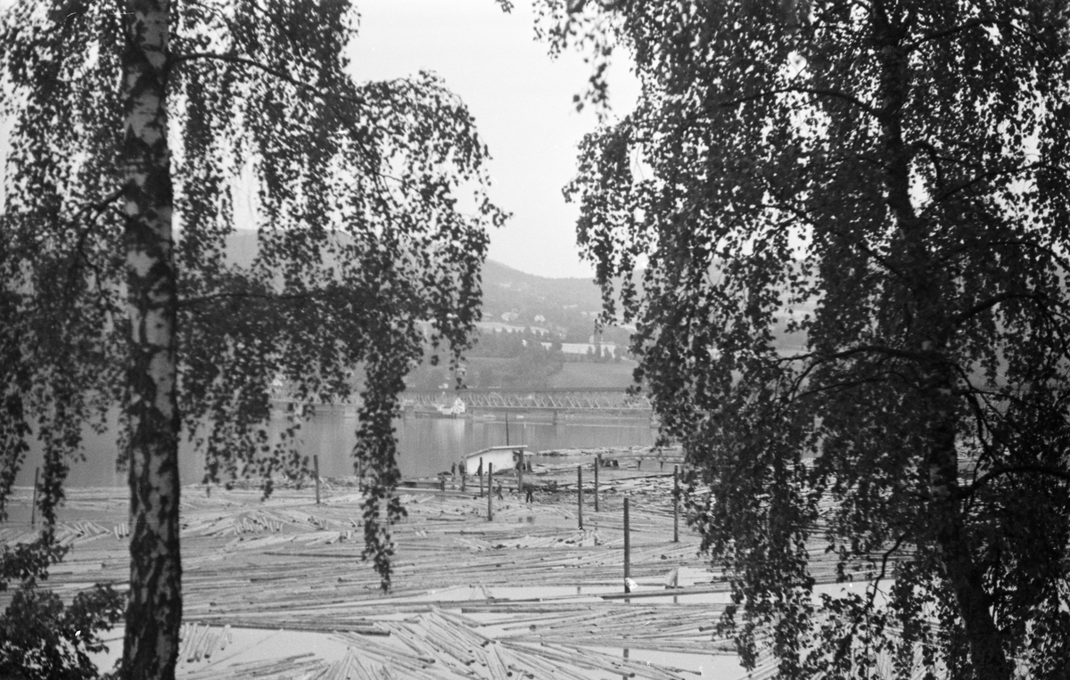 Lillehammer lense ved Gudbrandsdalslågens utløp i Mjøsa, fotografert fra en posisjon mellom to bjørketrær ved Tangen på Vingnes-sida (vestsida) av vassdraget. Fotografiet ble tatt i 1937. I bakgrunnen ser vi den drøyt 800 meter lange Vingnesbrua, en fagverkskonstruksjon av jern som på dette tidspunktet var cirka tre år gammel. I 1937 var det innmeldt 236 509 stokker til fløting i ovenforliggende vassdrag som i prinsippet skulle passere denne lensa. I tillegg kom 609 stokker som lå igjen fra foregående år. Av dette skulle 192 324 stokker - om lag 81 prosent - til brukene ved Mjøsa. Dette tømmeret skulle sorteres etter påslåtte tømmermerker og «soppes» ved lenseanlegget, det som skulle til bedrifter lengre nede i Glommavassdraget ble fløtet sams til det hadde passert Minnesund.   

Tirsdag 3. august 1937 kunne leserne av Opland Arbeiderblad lese følgende om fløtingsvirket i Mjøsregionen, der bortimot halvparten av kvantumet passerte Lillehammer lense:

«Tømmerkvantumet i Mjøsvassdraget 33 prosent større enn fjorårets.
Borregård avtar 40 prosenrt av hele distriktets tømmerproduksjon.
Efter de opgaver som nu foreligger er der til fløtning i Mjøsvassdraget innmerket ialt 1 330 771 stokker, svarende til ca. 265 000 kbm.
Ved Lillehammer lense passerer 112 143 kbm., eller ca. 46 prosent av det hele kvantum. I de øvrige elver til Mjøsa er innmerket 331 230 stokker og rundt Mjøsstranden 414 330 stokker.
Av det samlede tømmerkvantum skal 627 200 stokker eller 47 prosent avleveres til brukene rundt Mjøsa, mens resten skal viderebefordres.
Den største avtager er Borregård som tar 522 851 stokker eller ca. 40 prosent av distriktets samlede tømmerproduksjon.»