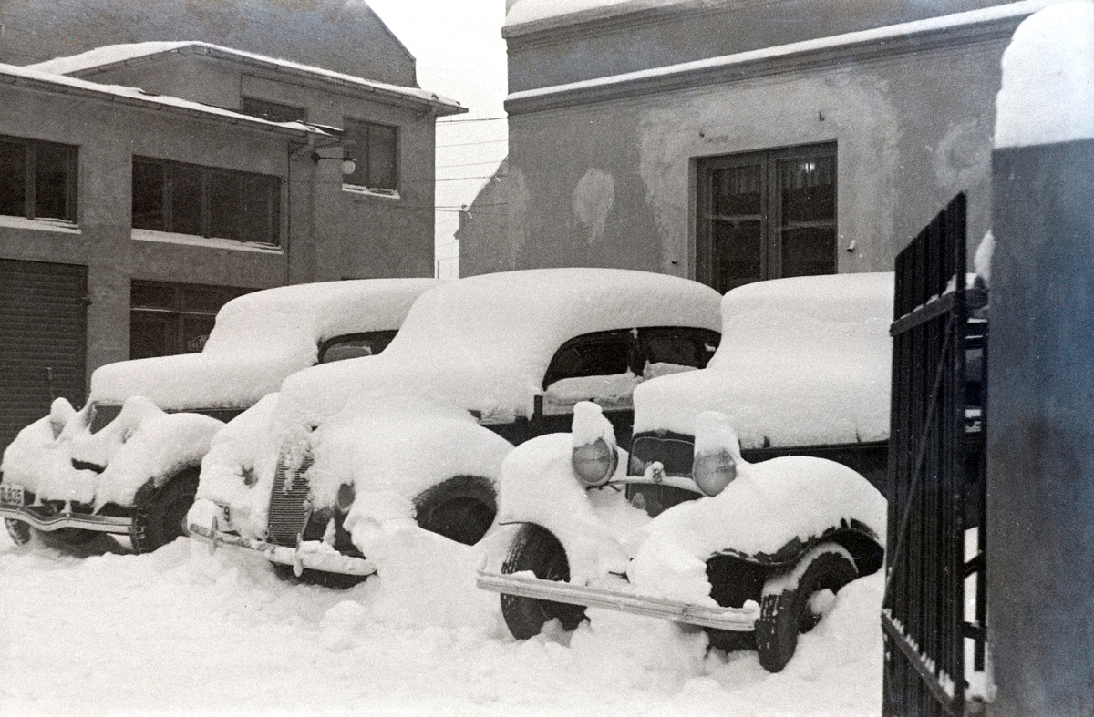 Vinter, nedsnødde biler i bakgården på Oplandske Automobilforretning i Enggata 34, Hamar. Nærmeste bil er en Ford V8 1932 (V8-merket sees på midten av lyktestanga), videre trolig 37-38 og 35-36-modell. T.v personbil D-835.