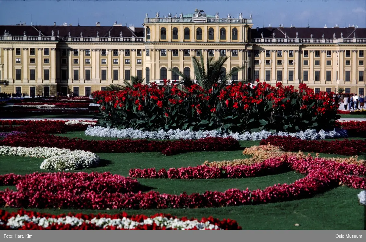 Schönbrunn slott, park, hage, blomsterbed, mennesker
