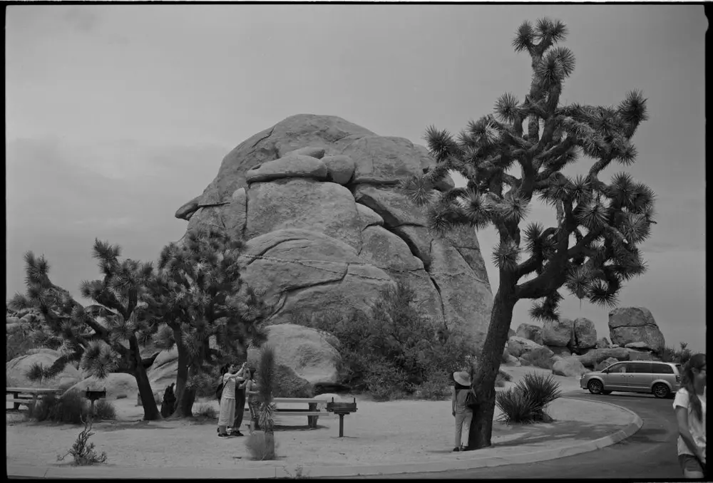 Svart-hvitt bilde av en stor kampestein i et ørkenlandskap. Det er en asfaltert vei og kantstein rundt steinen, og noen nåletrær. Turister fotograferer. Fotografi.