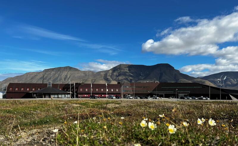 Bildet viser Svalbard museum der det ligger i Forskningsparken. Bak museet ser vi Hiortfjellet, et mektig fjell på andre siden av Adventfjorden. I forgrunnen vokser reinroser og annen vegetasjon.