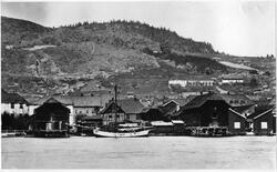 Bragernes i Drammen. Før brannen i 1866. Drammenselva, sjøbo