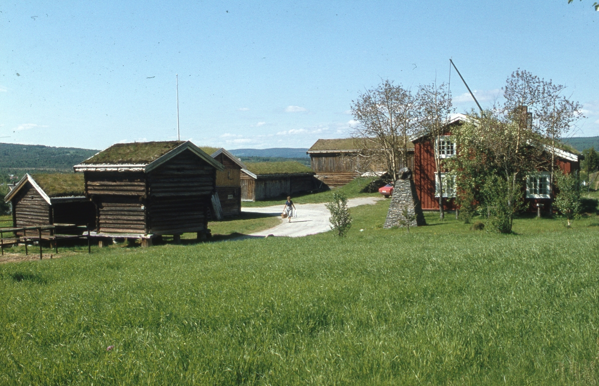 Aasengården Røros 1978