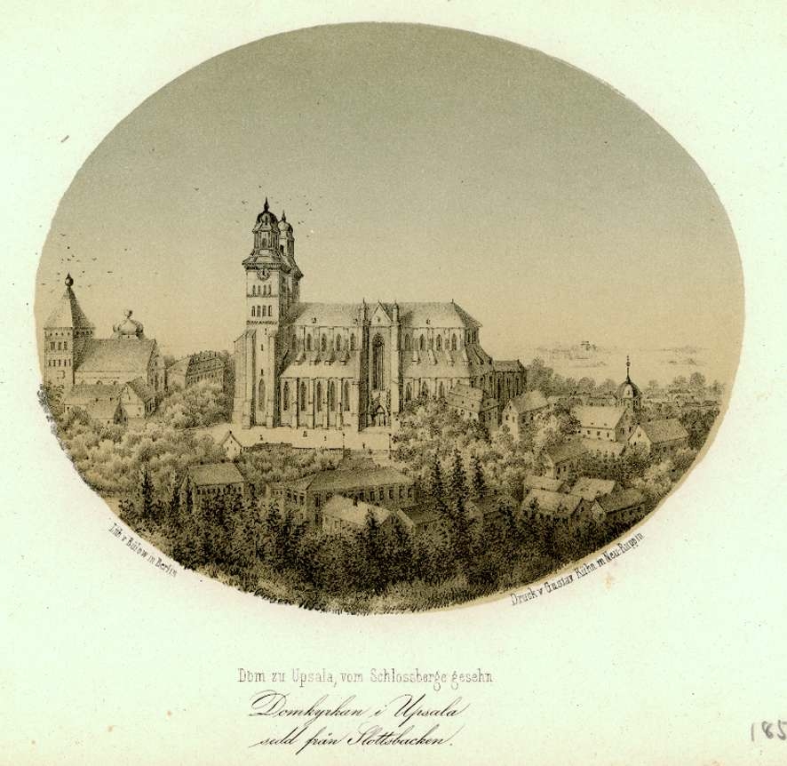 Uppsala domkyrka och Trefaldighetskyrkan, sedd från slottet, 1858