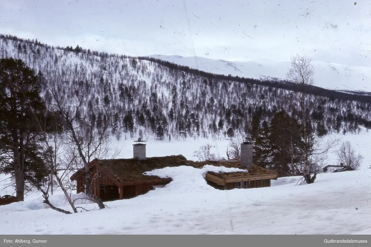 Skjåk 1976
Hytte i snø, Vuluvatnet