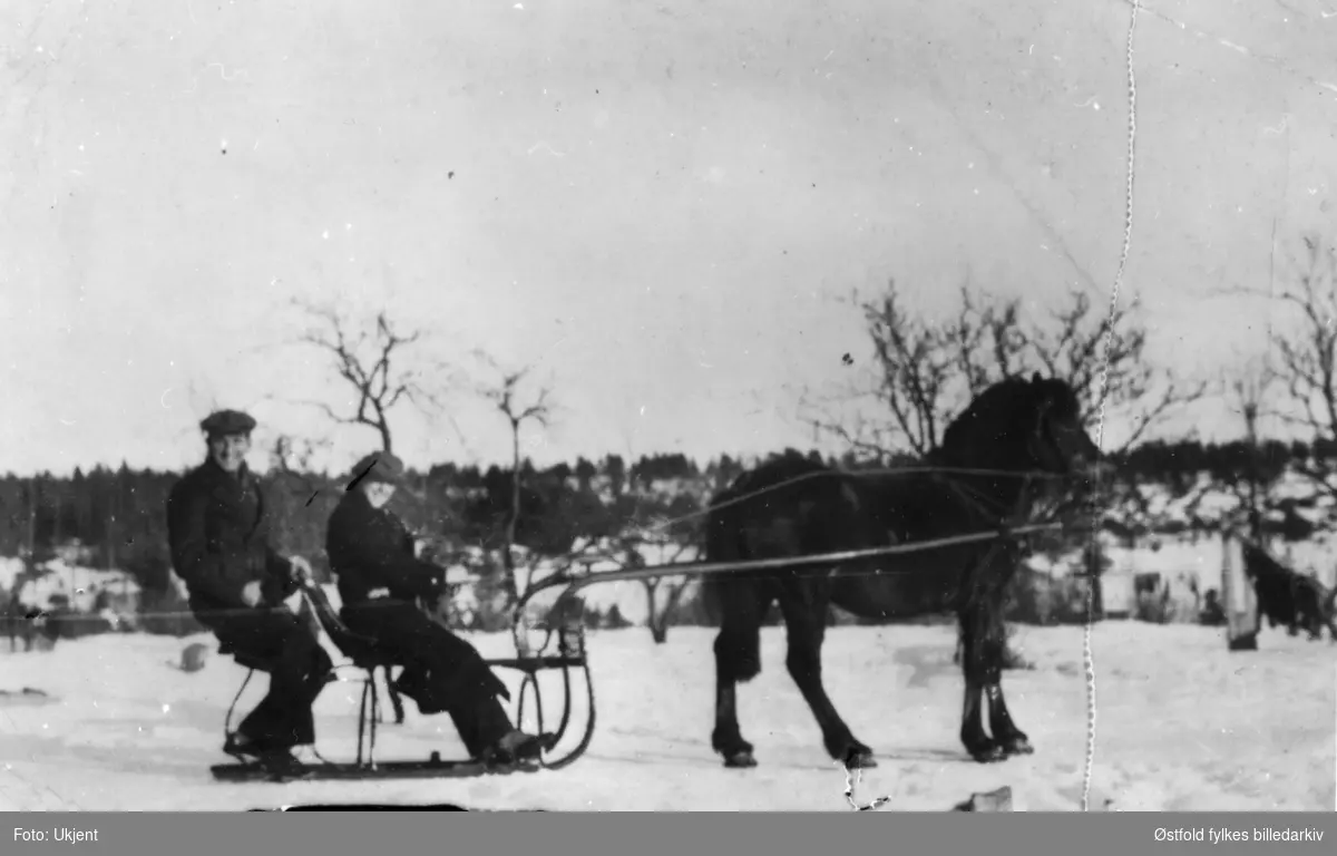 Hesten "Samson" med smalslede, Lunde i Varteig. Bak Ole Lunde, i smalsleden Gunnar Lunde. Ca. 1935-36.