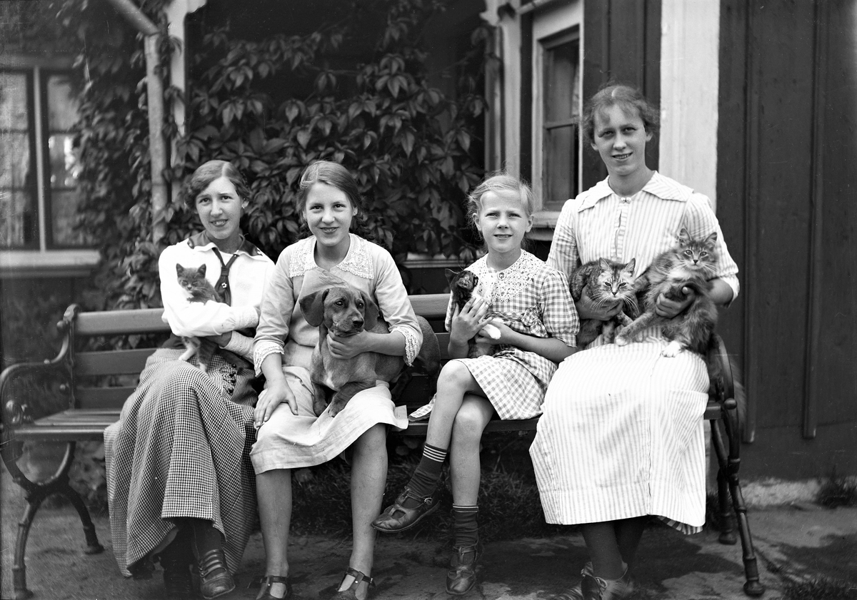 Två äldre och två yngre flickor på en bänk vid ett bostadshus. I knät har dom hundar och katter. Namnet A. Alm är angett till fotografiet. Haby Skene, Örby socken. (Se även bild MR2_1384)