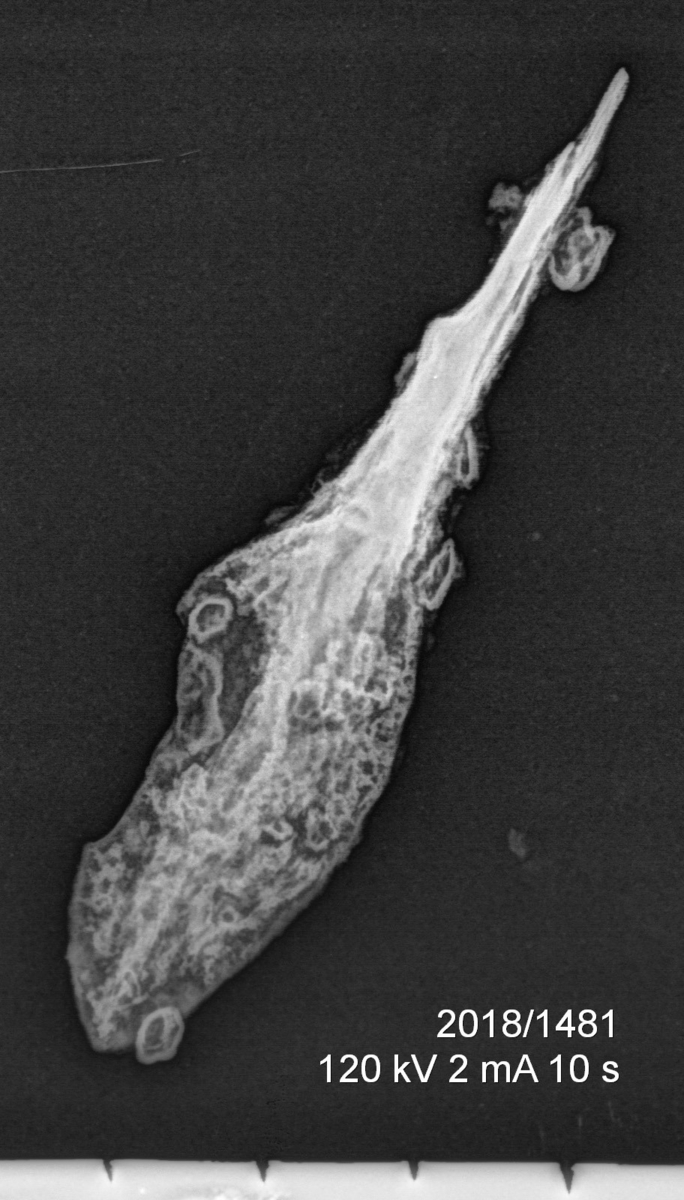 Pilspiss av jern med flat tange, nærmest lik Farbregd 1972: Fig 11. Spissovalt blad og tangeplan som er posisjonert vinkelrett på bladet. Spissen er kraftig korrodert. 