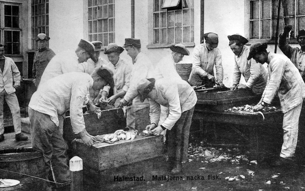16, Hallands Regemente. Malajerna nackar fisk.
Avfotografering av vykort på "Markan" omkr. 1910.