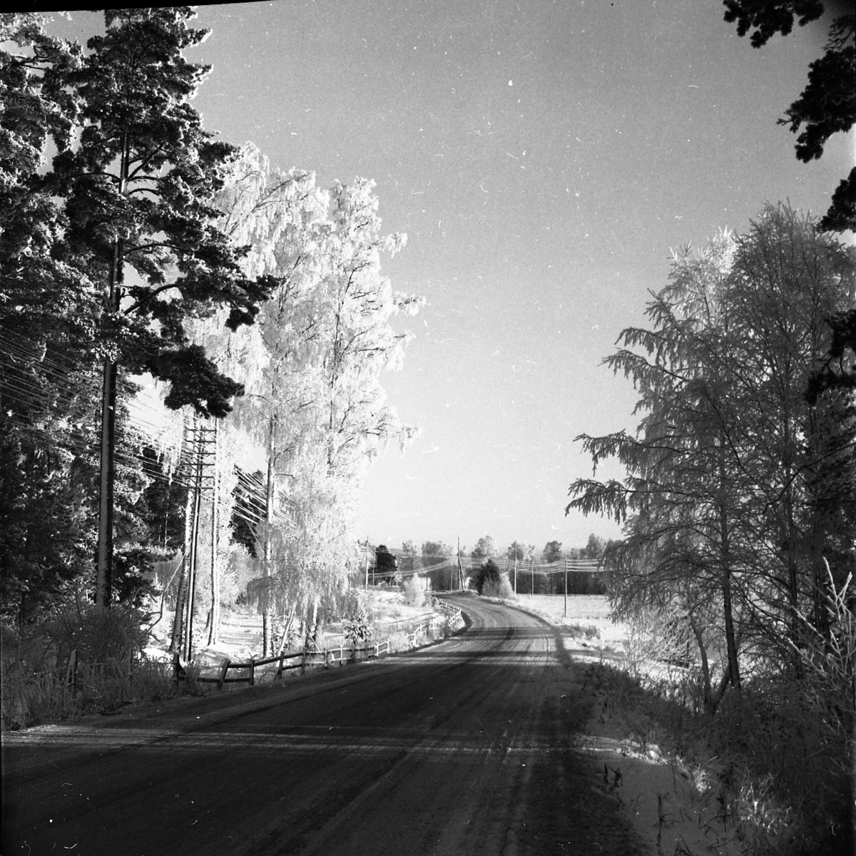 Vinterlandskap. Vägen till Bunnström.
