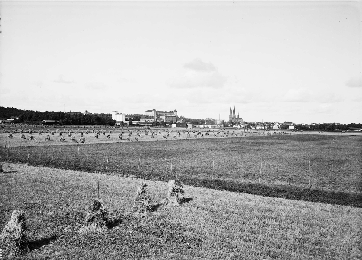 Sädesskylar, Lantbrukshögskolan, Ultuna, Uppsala 1940