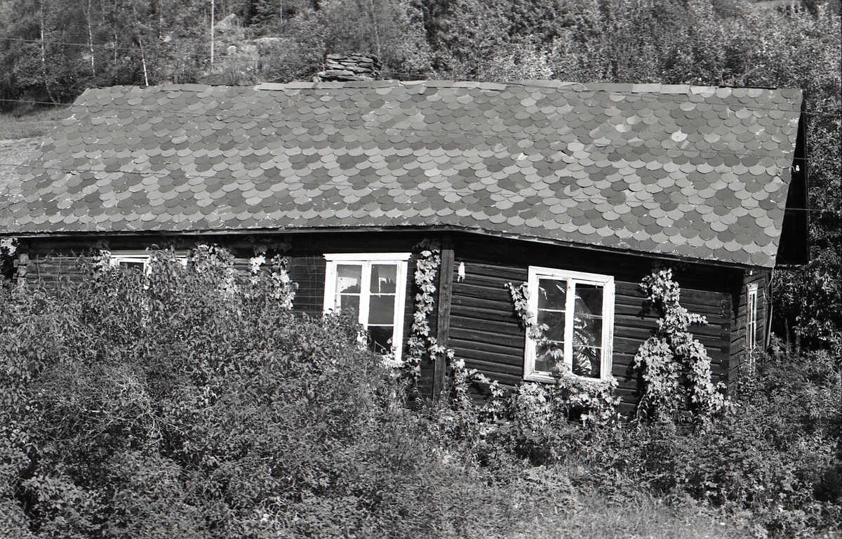 Dekorasjon i tak på Drengestogo Midt- Løkji.