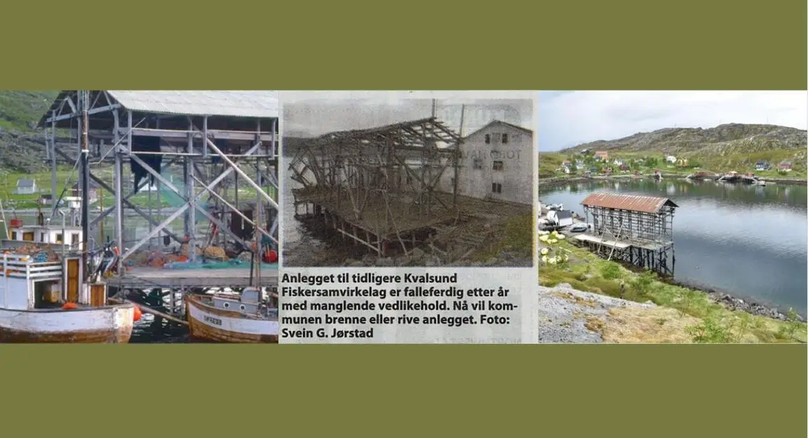 Bilde av tre forskjellige nothjeller.