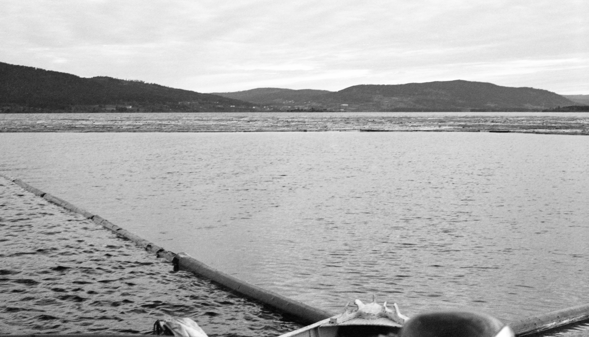 Bomtrekking sørover Storsjøen i Odalen sommeren 1957. Dette slepet skulle bukseres fra Mo i nordenden av innsjøen til Seimsjøen i sør, der strømmen i Oppstadåa skulle føre det videre mot Glomma ved Skarnes. Bommen var en ring, lagd av sammenkjedete stokker, som i dette tilfellet omsluttet cirka 3 500 kubikkmeter løstømmer fra skogene i Nord-Odal. Bommen ble trukket av en båt som lokalt ble kalt «Storsjø», men som offisielt hette «Varpebåt 1». Glomma fellesfløtingsforening hadde nemlig en noe større slepebåt i Storsjøen i Rendalen som offisielt hette «Storsjø»,  Når «Varpebåt 1» ble satt i bevegelse samlet tømmeret seg i det som da ble den bakre enden av bommen, men så lenge hastigheten var langsom og vinden noenlunde spak, holdt det seg der. Dette er tatt fra akterdekket på slepebåten med Gardviklandet i bakgrunnen.