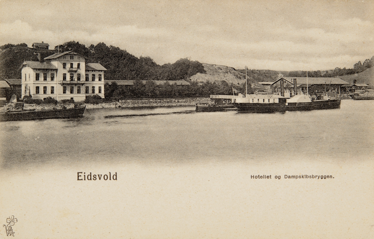 Postkort, Eidsvoll stasjon, D/S Skibladner ligger til ved dampskipsbrygga,