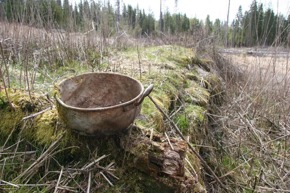 Et bilde tatt av Eikesætra i dag. En gryte står på en råtten stokk i en naturlandskap.