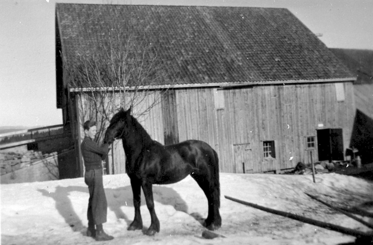 Hester på Borge 1942, stall, uthus, låve, epleknikkers, snø, vinter