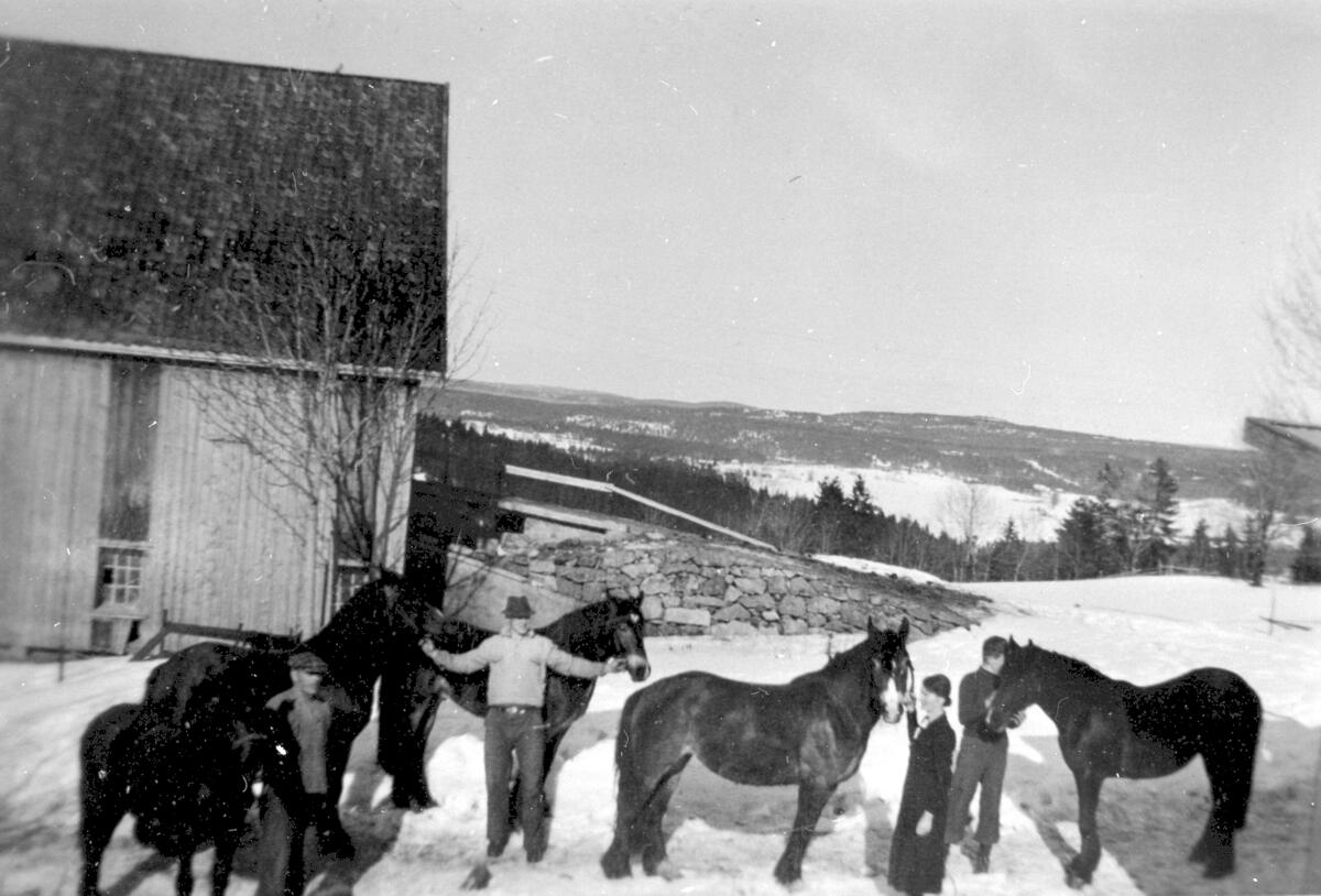 Hester på Borge 1942, stall, uthus, låve, epleknikkers, snø, vinter