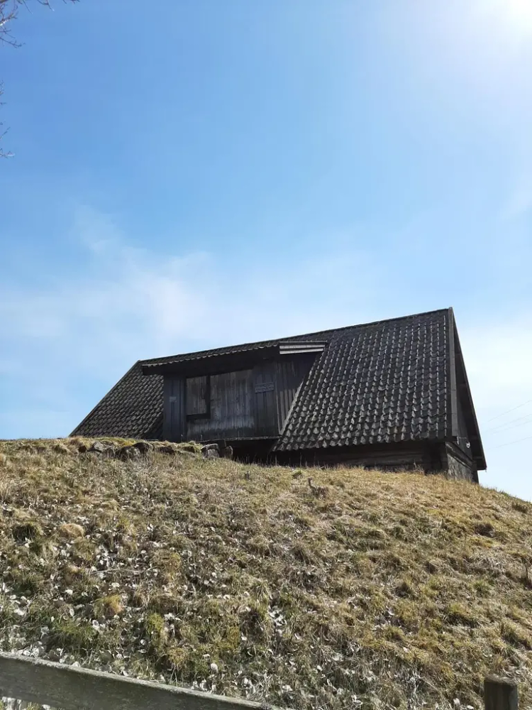 Bildet viser toppen av et hus over gresset.