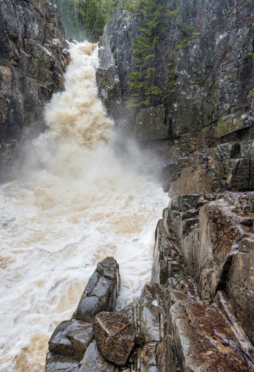 Vår ved Øksnafallene i elva Øksna, Elverum, Hedmark, Innlandet.