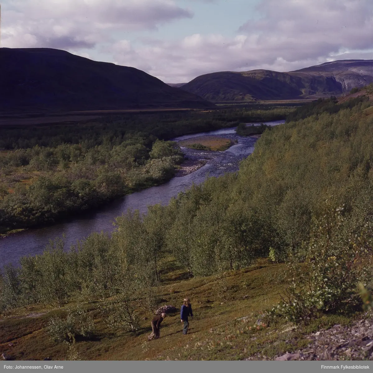 Foto av elv og skog med fjell i bakgrunnen

Muligens Syltefjordelven (Finnmark) på1970-tallet