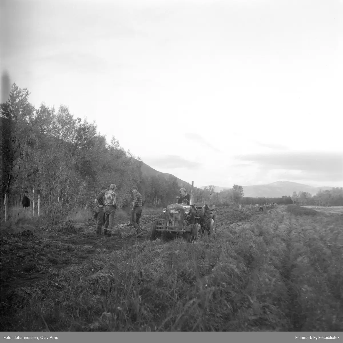 Foto muligens tatt fra Tana i Finnmark, usikker identifisering 

Traktor har skiltnummer Y-12120

Foto trolig tatt på  1960/70-tallet