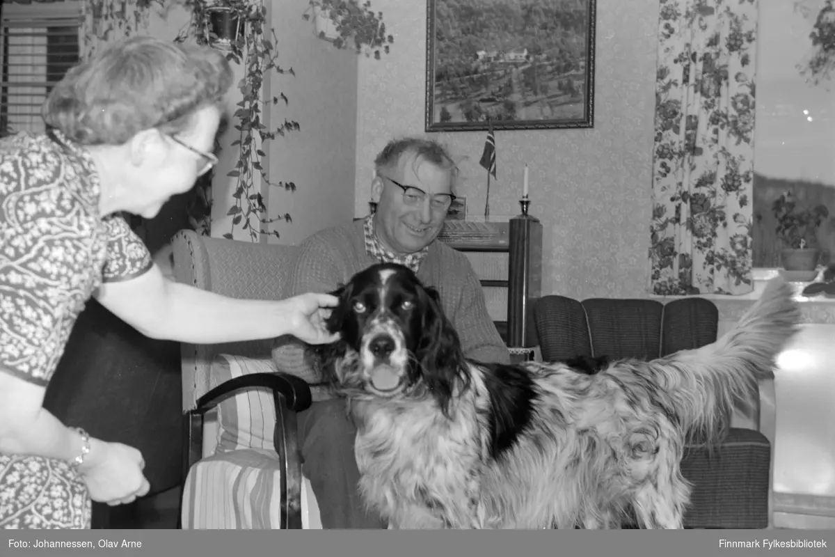 Foto av ukjent mann og kvinne med hund i stue

Fra venstre muligens: Fru Siversen og mann Guttleif? Usikker identifisering. 

Foto trolig tatt på  1960/70-tallet