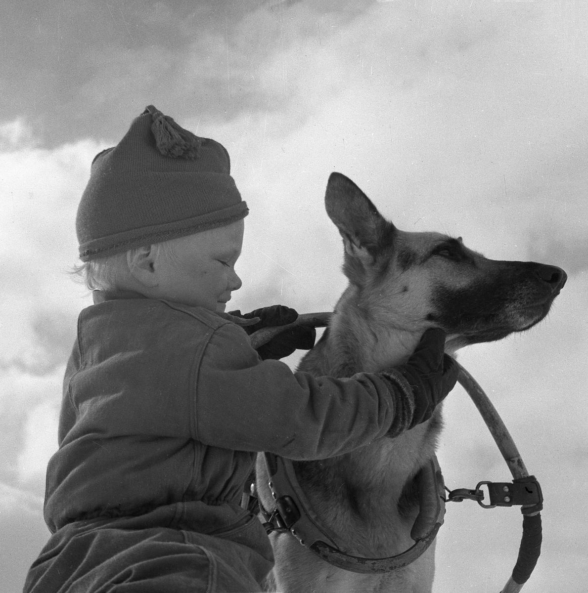 Hildings son selar hunden Lessie i Ramundberget 1947.