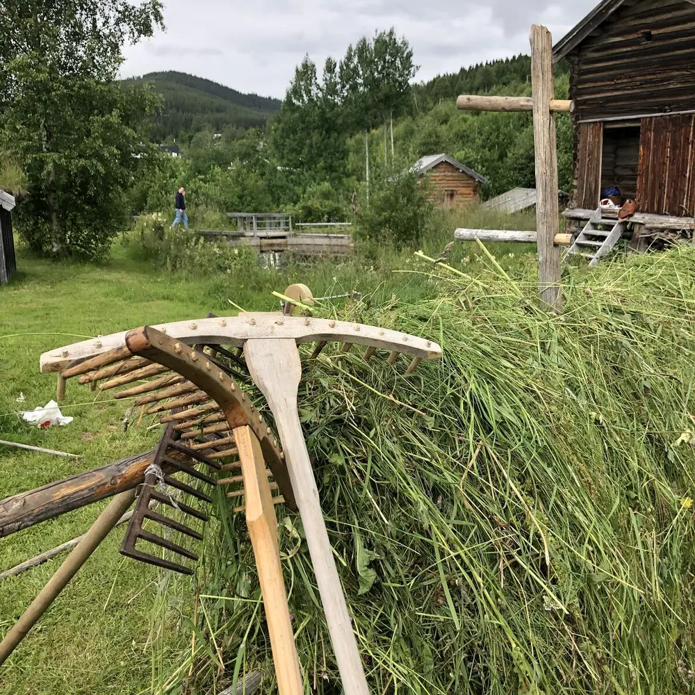 Eldre river står oppreist mot en ny oppsatt hesje.