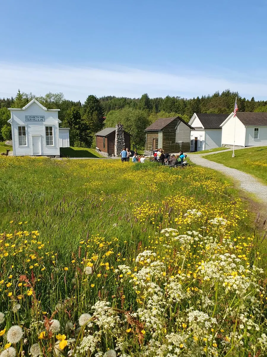 Prærielandsbyen en forsommerdag med blomster i forgrunnen. Gruppe mennesker sitter samlet rundt bålpannen nede ved prærien