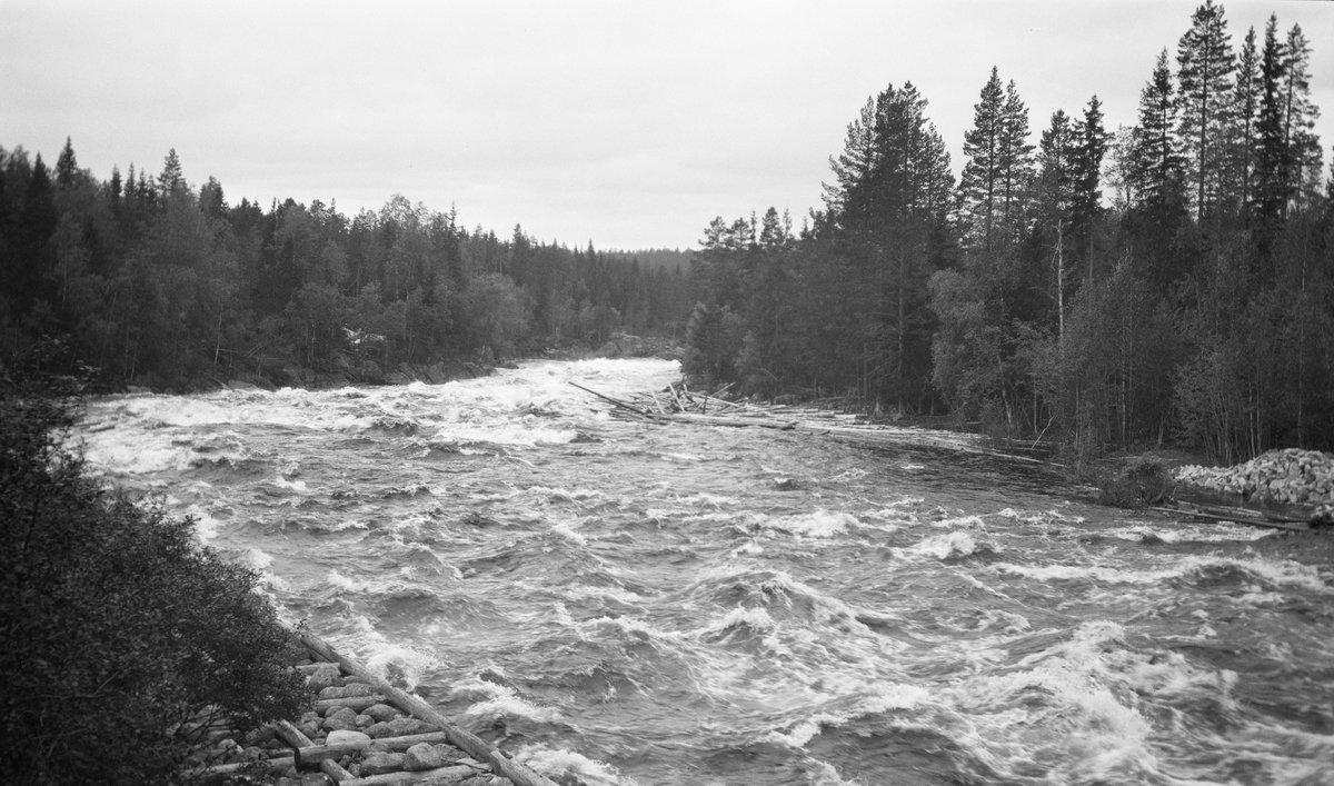 Elv i skogslandskap. Kvernfallet i elva Søre Osa, Åmot, Hedmark.