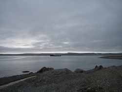 Nordstjernen i Murchisonfjorden.