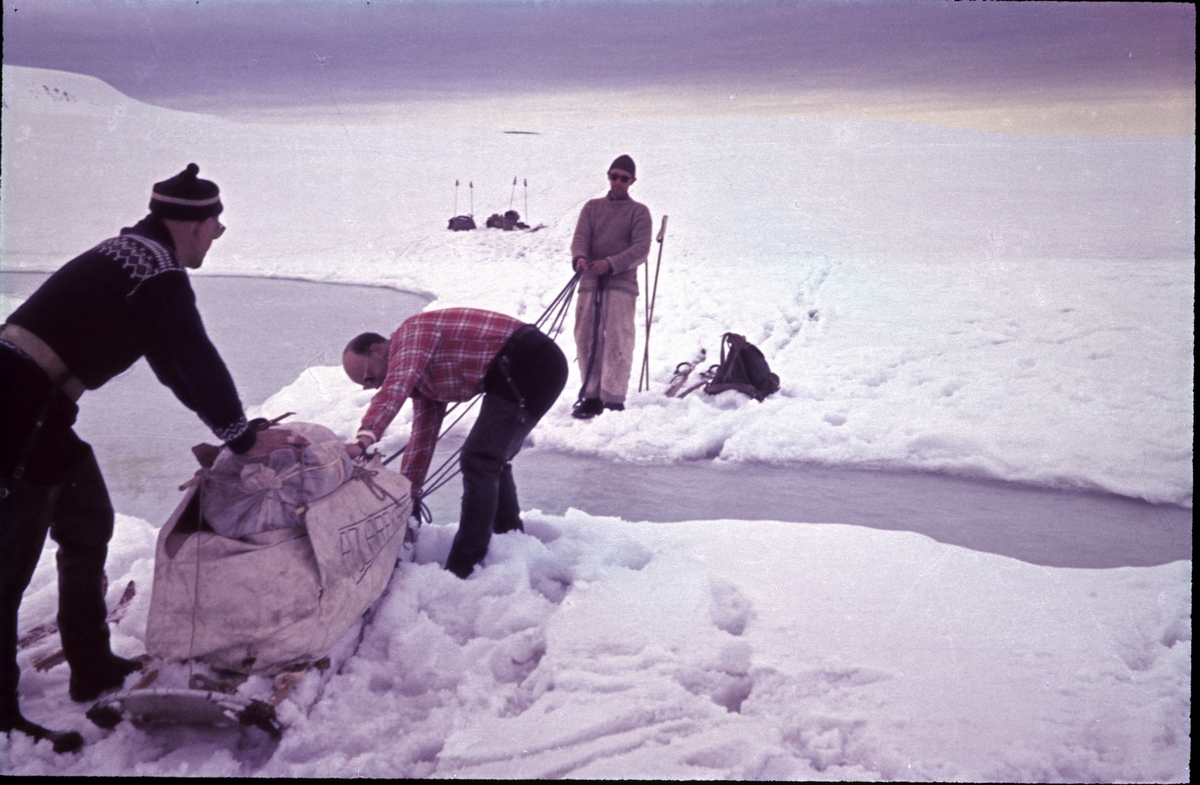 Bilder fra Marianne Gjørv. Faren,Odd E. Gjørv hadde sommerjobb for Norsk Polarnavigasjon(oljeleting) sommeren 1961. De måtte trekke sledene med utstyr selv, for det var for mye snø for hundespann.